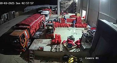 Amasya soğanı Avrupa'ya satılıyor