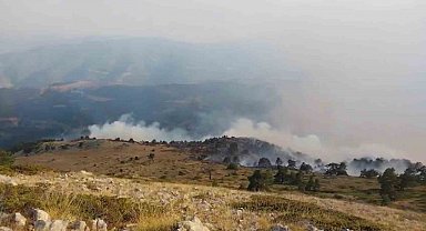 Amasya'da orman yangını