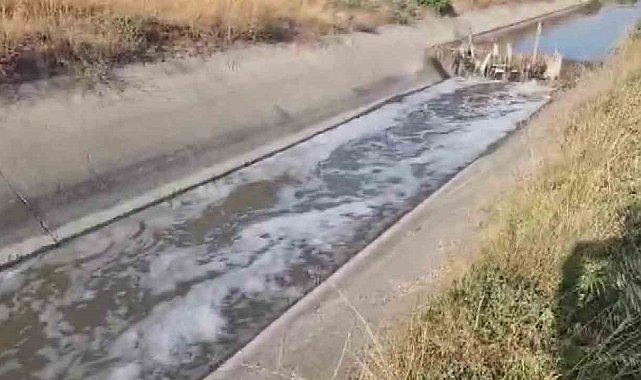 Amasya'da sulama kanalı kirlilikten köpürdü, balık ölümleri görülmeye başladı