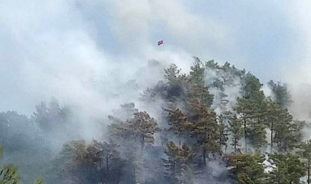 Anamur'da orman yangını