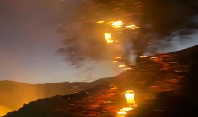 Anız yangını bahçeye sıçradı