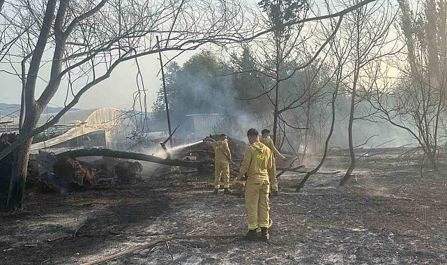 Anız yangınına itfaiye ekipleri müdahale etti