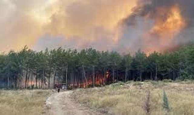 Antalya'da 2025'te 118 orman yangını çıktı, 540 hektar alan zarar gördü