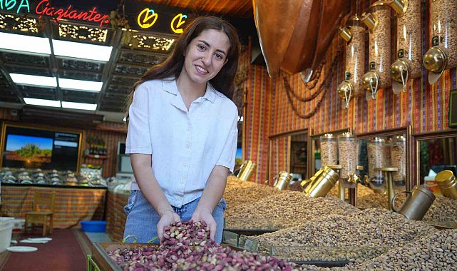 Antep fıstığının kilosu 500 TL oldu