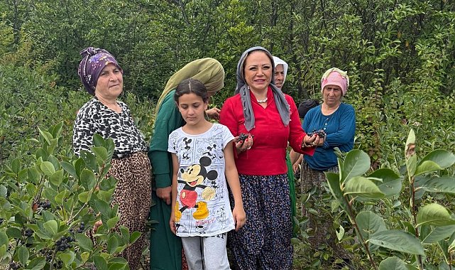 Aronya Akçaabat'tan dünyaya açılıyor