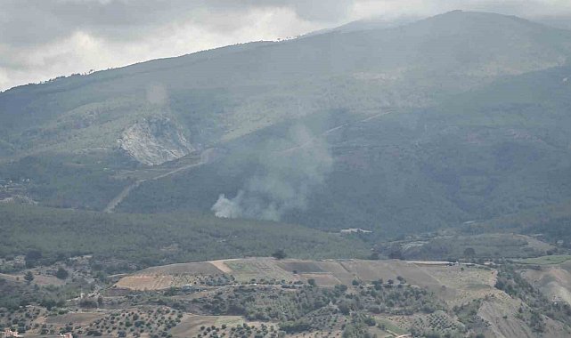 Arsuz'da çıkan orman yangını kontrol altına alındı