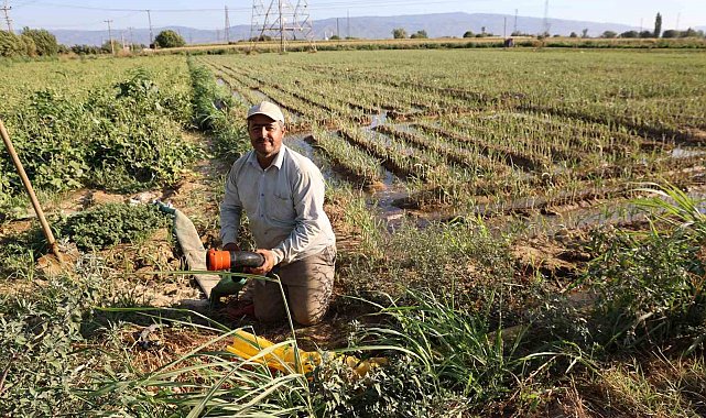 Aydın'da su kıtlığı çiftçilerin mesai saatlerini değiştirdi