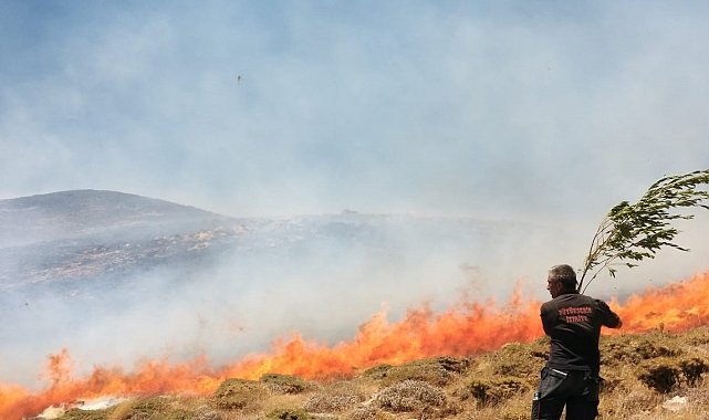 Bahçesaray'da arazi yangını