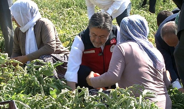 Bakan Yumaklı: "Türkiye domates üretiminde dünyada 3'üncü sırada"