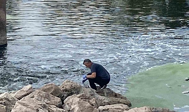 Balık ölümlerinin nedeni aşırı sıcaklar