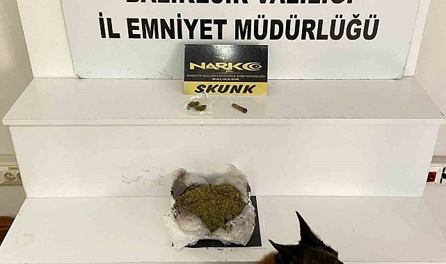 Balıkesir'de 485 gram esrar ele geçirildi