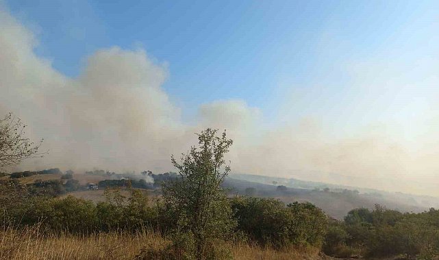 Balıkesir'de arazi yangını