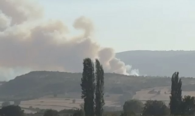 Balıkesir'de orman yangını