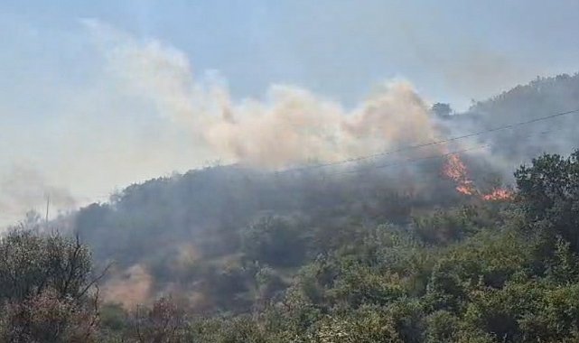 Balıkesir'de otluk ve makilik alanda çıkan yangın kontrol altına alındı