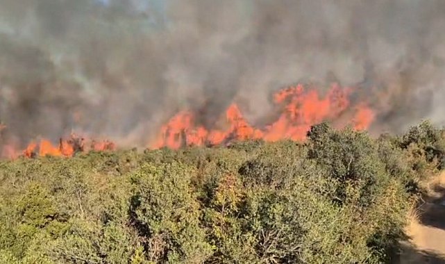 Balıkesir'deki orman yangınına müdahale sürüyor