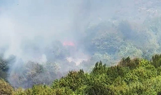 Bartın'da orman yangını çıktı