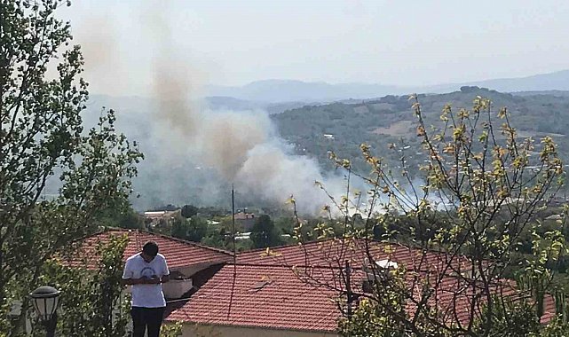 Bartın'da peş peşe yangınlar çıktı