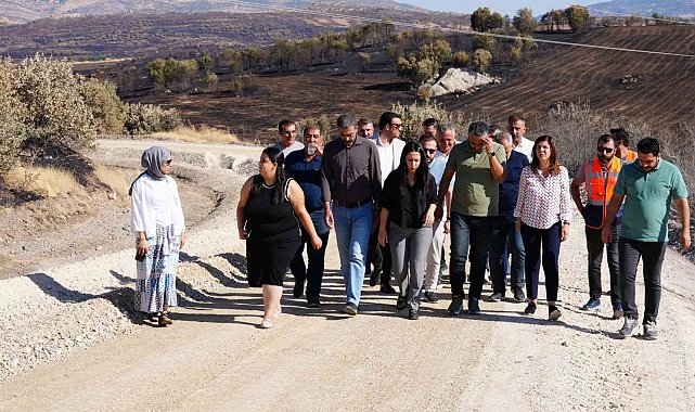 Başkan Bucak, Lice'deki yol çalışmasını yerinde inceledi