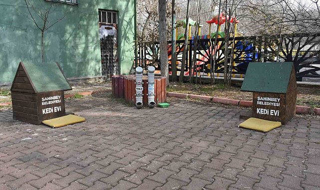 Başkan Tahmazoğlu: "Sıcak havalar hayvanları da olumsuz etkiliyor"