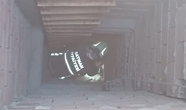 Batman Sanayi Sitesi'nde iş yerinin hava boşluğunda mahsur kalan kedi kurtarıldı