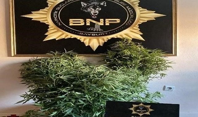 Bayburt'ta birçok adrese eş zamanlı narkotik operasyonu yapıldı
