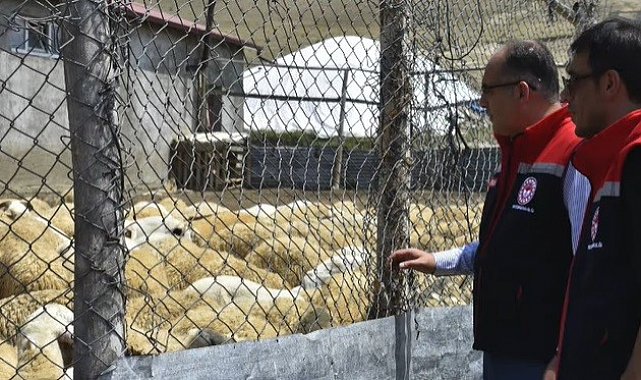 Bayburt'ta küçükbaş hayvan işletmelerindeki çalışmalar incelendi