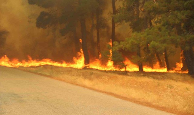 Bayramiç'te 3 köy tahliye edildi