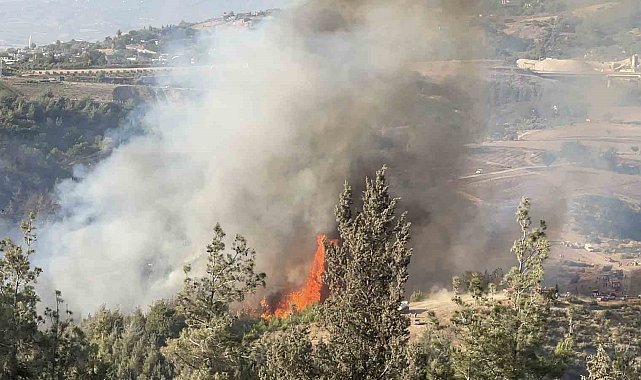 Beton mikserleri ve iş makineleri ile yangını söndürmek için seferber oldular