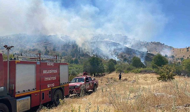 Bingöl'de köyde çıkan yangın ormana sıçradı, müdahale sürüyor