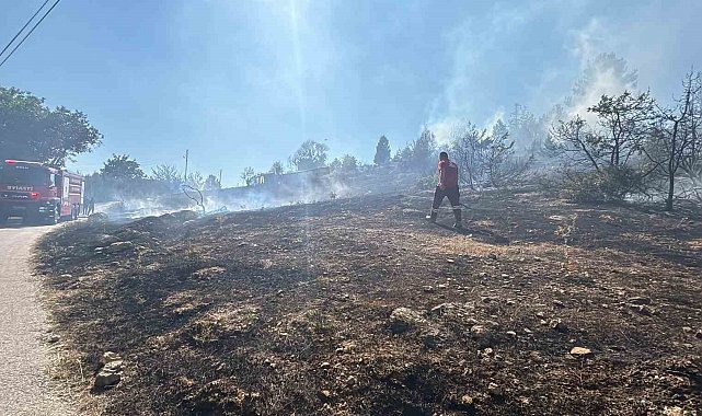 Bolu'da çalılık arazide çıkan yangın evlere sıçramadan söndürüldü