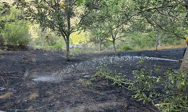 Bolu'da otluk alanda çıkan yangın ormana sıçramadan söndürüldü