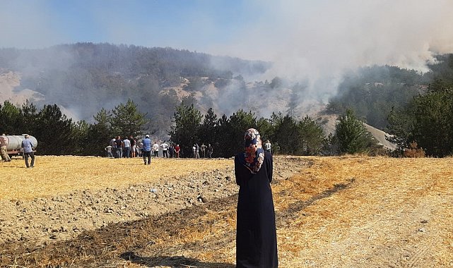 Bolu'daki orman yangını 5.saatinde