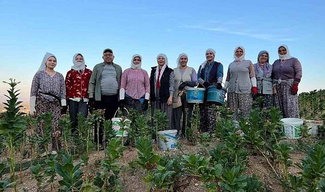 Buldan'da kekik ve tütün üreticilerinin yüzü gülüyor