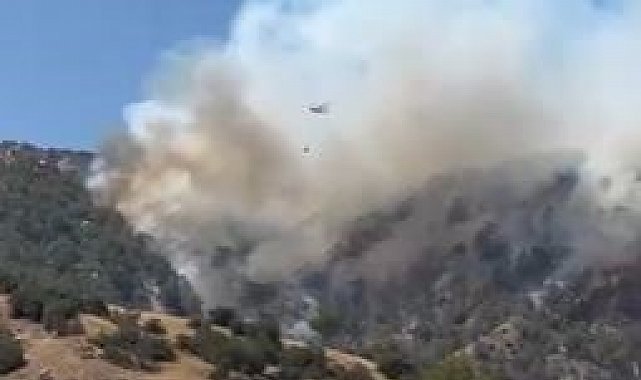 Buldan'da yangını söndürmek için bölgede bulunan dozer operatörü yaralanarak hastaneye kaldırıldı