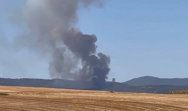 Bursa'da orman yangını...