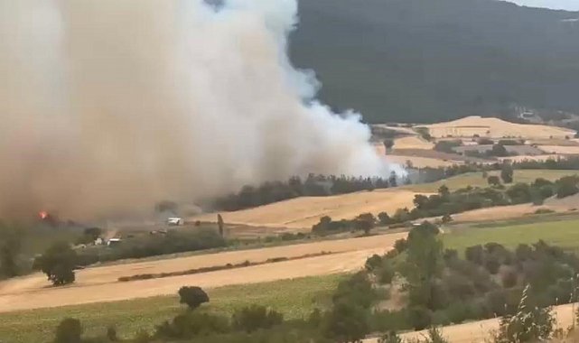 Bursa'da orman yangınına havadan ve karadan müdahale