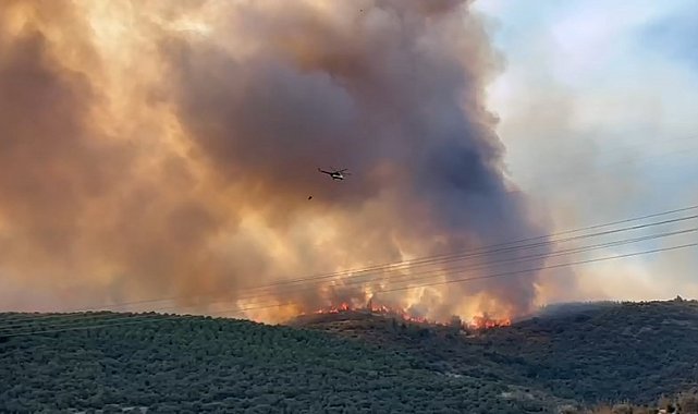 Bursa'da orman yangınıyla amansız mücadele sürüyor
