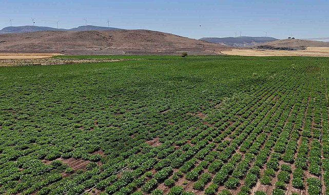 Büyükşehir, akıllı sulama sistemlerini Nurdağı ve İslahiye'de hayata geçirdi