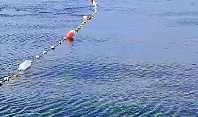 Caddebostan'da yunuslarla vatandaşın yüzme keyfi kamerada