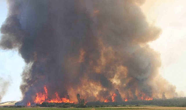 Çanakkale Valiliği'nden yüksek orman yangını riski uyarısı