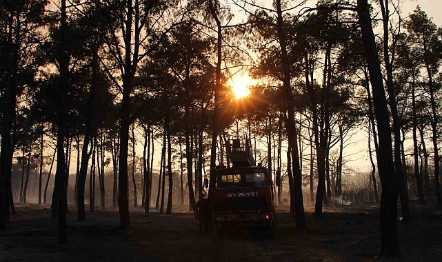 Çanakkale'de devam eden yangında 3 köy boşaltıldı