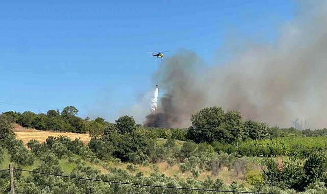 Çanakkale'de tarım arazisinde başlayan yangın ormanlık alana sıçradı