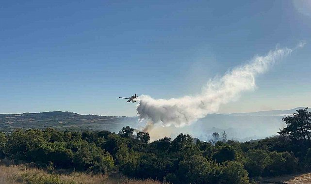 Çanakkale'de tarım arazisinde başlayarak ormanlık alana sıçrayan yangın kontrol altına alındı