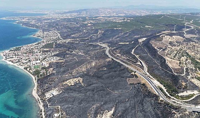Çanakkale'de yangından geriye bu acı tablo kaldı