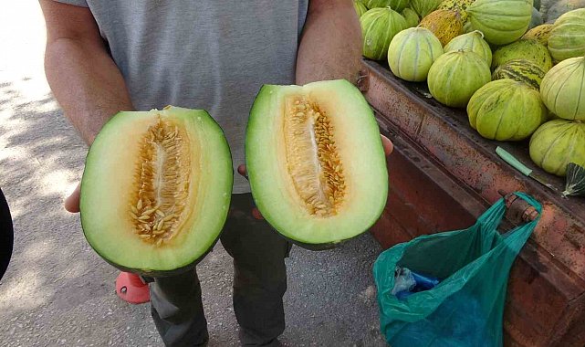 Çankırı tuzu bu kavunun tadına tat katıyor