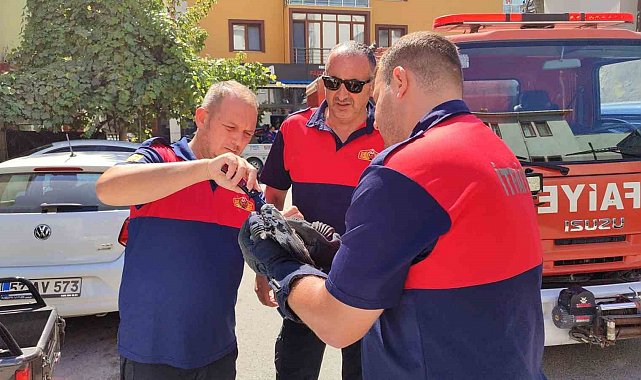 Çatıdaki ağlara takılan güvercini itfaiye kurtardı