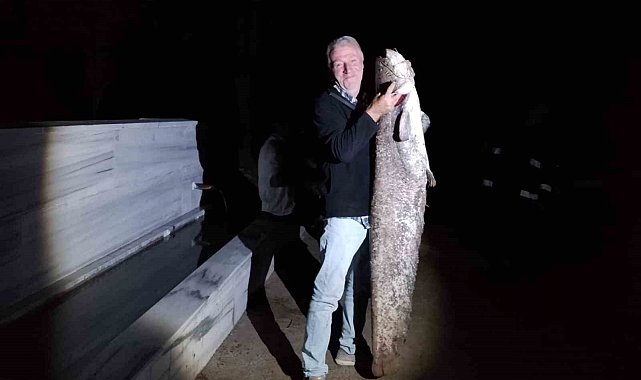 Çiçeközü Barajı'nda dev yayın balığı