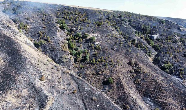 Çorum'daki orman yangını kontrol altına alındı