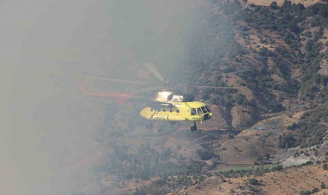 Çorum'daki orman yangını kontrol altına alındı