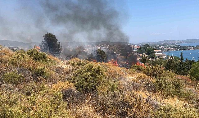 Datça'da makilik yangını kontrol altına alındı